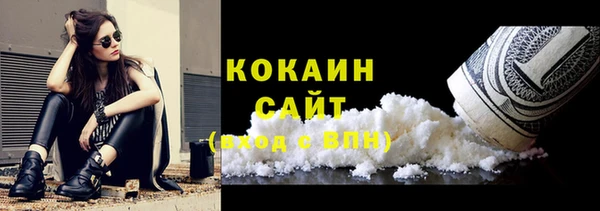 spice Бородино