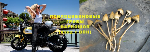 spice Бородино